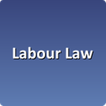 Labour Law Support