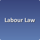 Labour Law Support icône