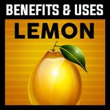 Benefits & Uses of Lemon biểu tượng
