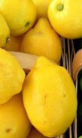 Lemon Wallpaper screenshot 3