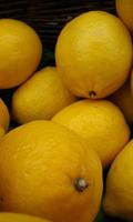 Lemon Wallpaper screenshot 1
