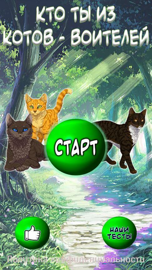 тест кто ты из коты воители с картинками тебе быть стороне