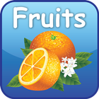 Fruits(ফল) أيقونة