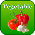 Vegetables(শাকসবজি) icône