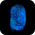 Fortuna delle impronte digital