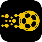 Bet Raider Pro icon
