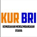 KUR BRI Online panduan APK