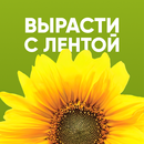 Вырасти с ЛЕНТОЙ APK