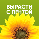 Вырасти с ЛЕНТОЙ