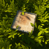 Vanilla Shaders Minecraft icon