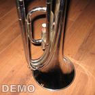 MB Horn demo for Caustic icône