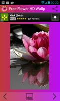 Free Flower HD Wallpapers syot layar 2