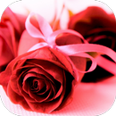 Imagens com Mensagens de Amor APK