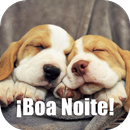 Imagens Frases de Boa Noite APK