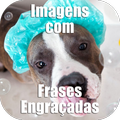 Imagens com Frases Engraçadas