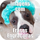 Funny Images in Portuguese APK