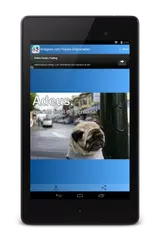 Funny Images in Portuguese APK download