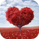 Imagens com Recados de Amor APK