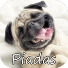 Piadas Curtas e Boas icon