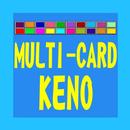 Multi-Card Keno APK