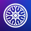Wheel Vision Hub