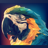 Bird Identifier Pro - Photo Bi