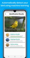 Bird Identifier Pro capture d'écran 1