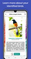 Bird Identifier Pro capture d'écran 2