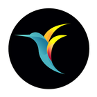 bebird Pro 图标