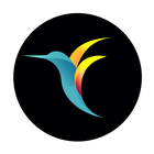 bebird Pro icon