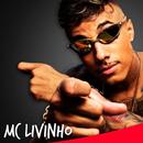 MC Livinho Pilantragem mp3 Offline APK