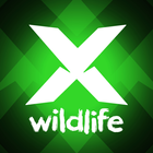 Let's Explore: Wildlife ikona