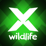 Let's Explore: Wildlife