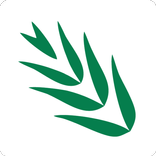 GRDC Southern Updates