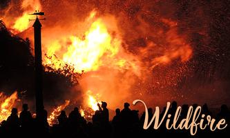 Wildfire постер