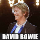 Biography of David Bowie APK