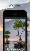 Mangrove capture d'écran 1