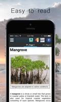 Mangrove capture d'écran 2