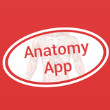 Anatomy Dictionary ícone
