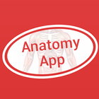 Anatomy Dictionary icône