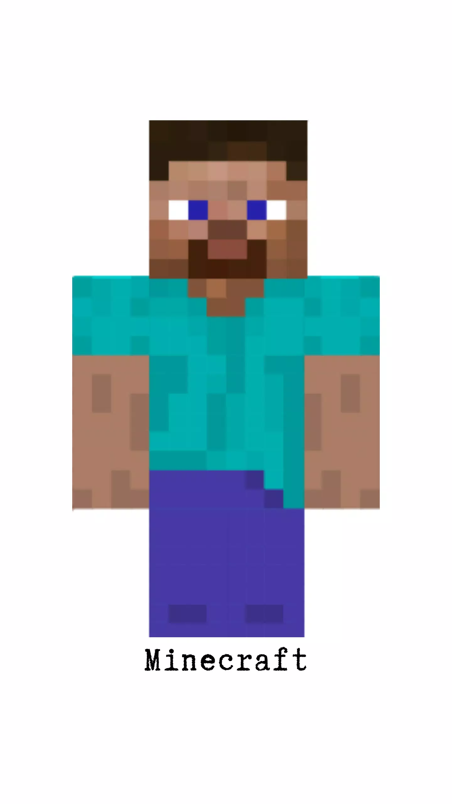 Descarga de APK de Skin Steve Face for MCPE para Android