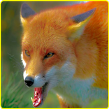Angry Wild Fox Attack Sim 3D