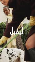 Level Shoes تصوير الشاشة 1