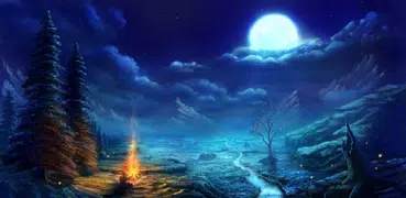 Forest relax. Sounds of nature
