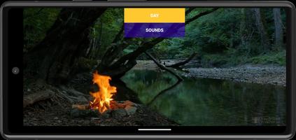 Forest relax. Sounds of nature screenshot 1