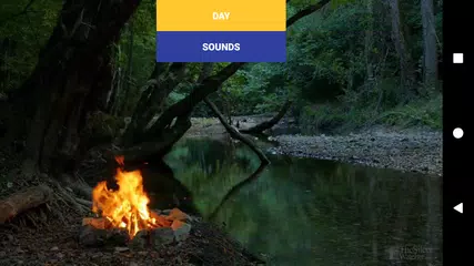 Baixar Forest relax. Sounds of nature APK