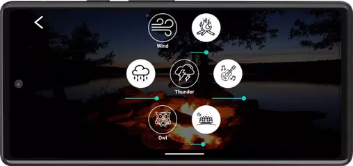 Forest relax. Sounds of nature アプリダウンロード