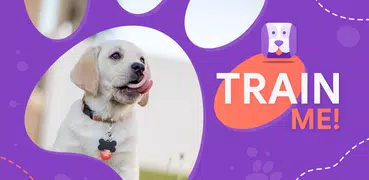 Dog Training App — GoDog