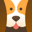 Dog Training App — GoDog