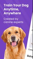 Dog Training App — GoDog الملصق